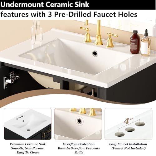 Elysionix 24" Single Bathroom Vanity view 4